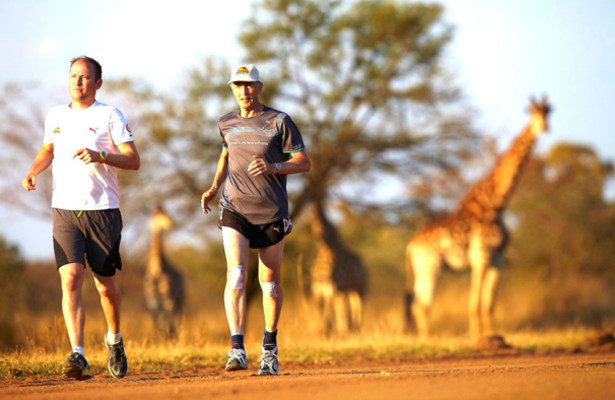 AlfaTrend_20160210_Running_Africa
