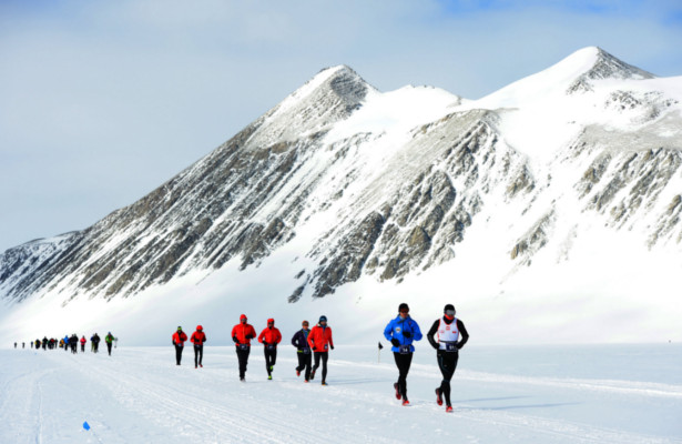 AlfaTrend_20160210_Running_Artic