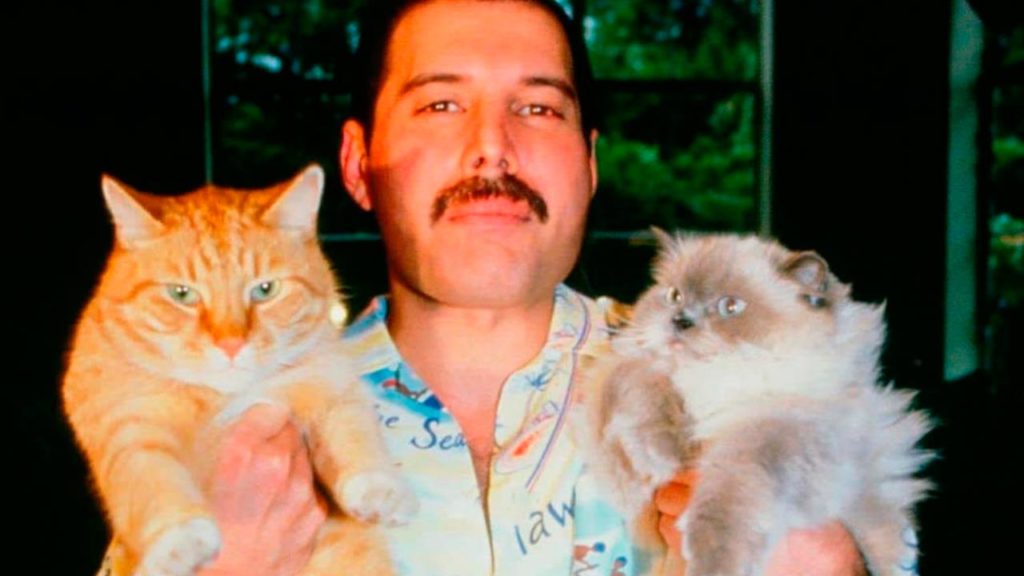 Freddie Mercury: 5 datos que NO conocías del legendario cantante