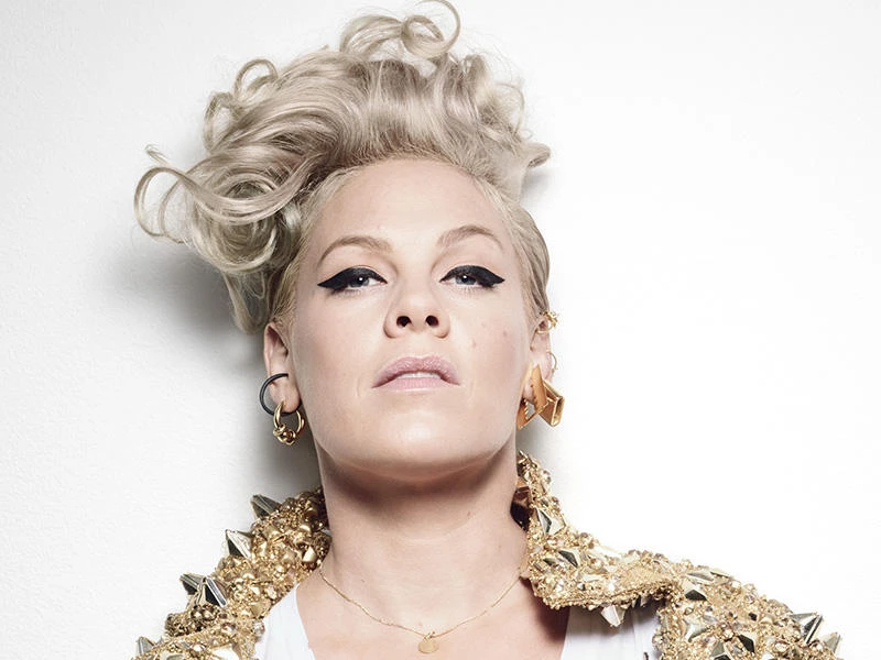 Pink recibe una gran rueda de queso Brie en pleno show