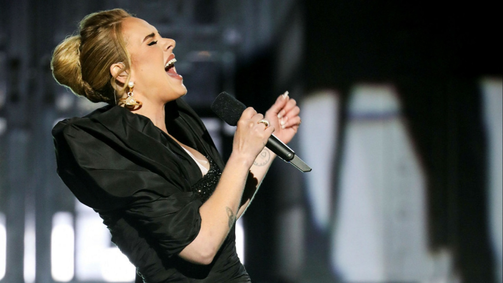 Adele detiene su concierto para ayudar a un fan