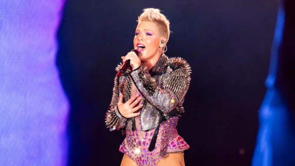 ¿Qué tanto sabes de... P!NK?