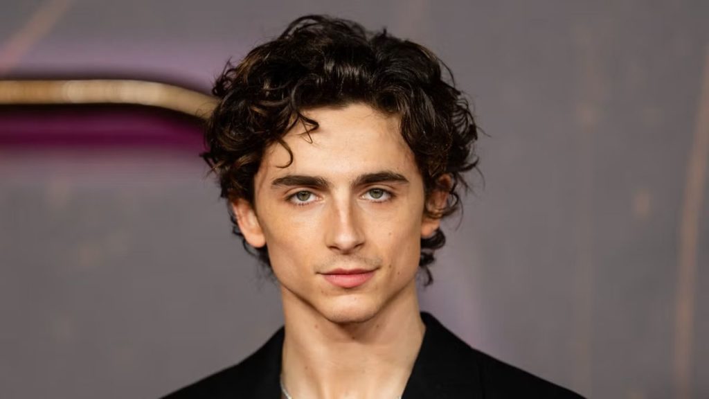 Timothée Chalamet debuta en listas de álbumes de Billboard